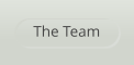 The Team